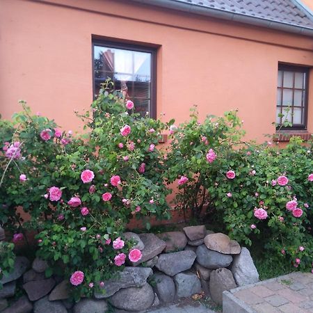 Apartmán Dorfidyll Wendisch Priborn Exteriér fotografie