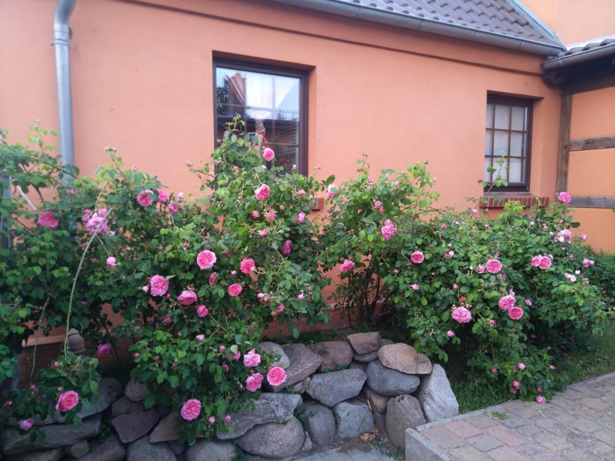 Apartmán Dorfidyll Wendisch Priborn Exteriér fotografie